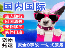 阳江合山航空货运国际宠物托运 【国